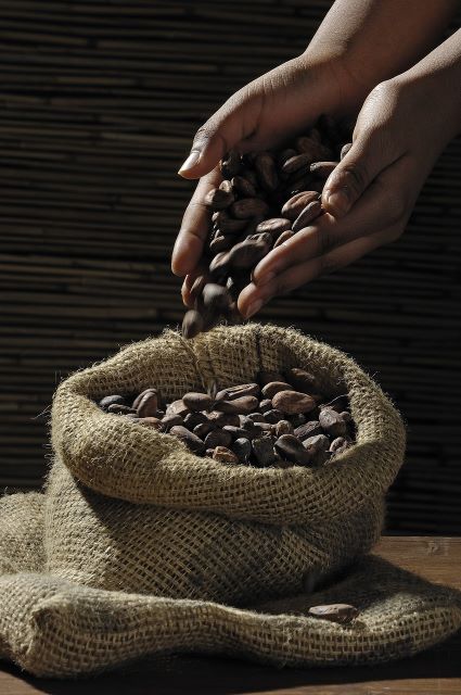 Cocoa-Beans